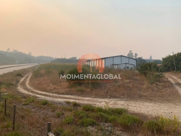 Quinta – Campia, Vouzela