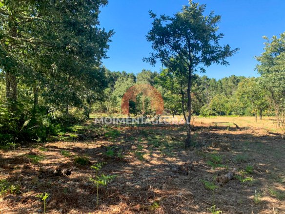 Terreno – Caria, Moimenta da Beira