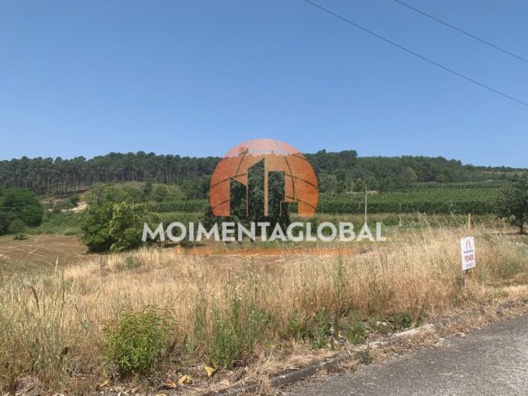 Lote urbano – Caria, Moimenta da Beira