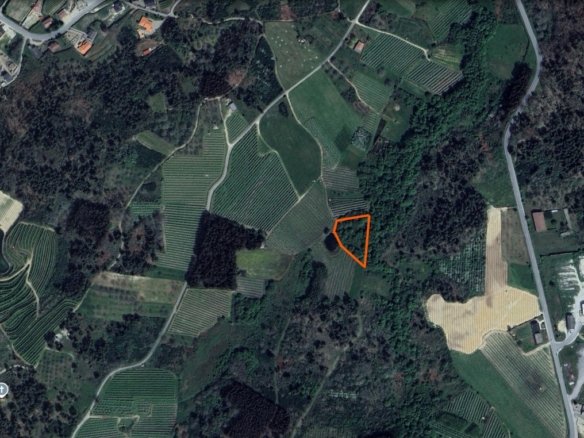 Terreno rústico, VENDA – Sever, Moimenta da Beira