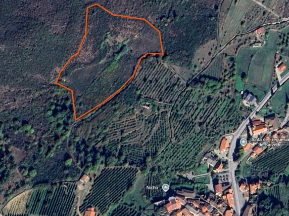 Terreno rústico – Sarzedo, Moimenta da Beira