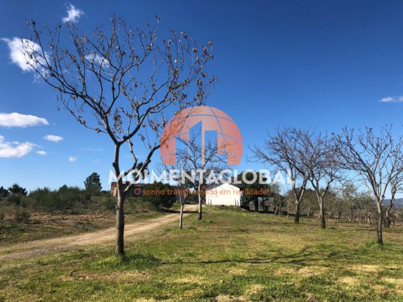 Quinta do Seixo – Vide, Rua – Moimenta da Beira