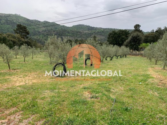 Quinta das Zamedas – Paradinha, Moimenta da Beira