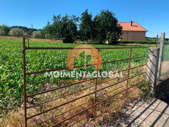 Terreno, Lote 1 – Arcos, Tabuaço