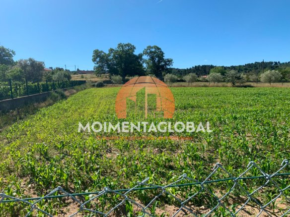 Terreno, Lote 2 – Arcos, Tabuaço